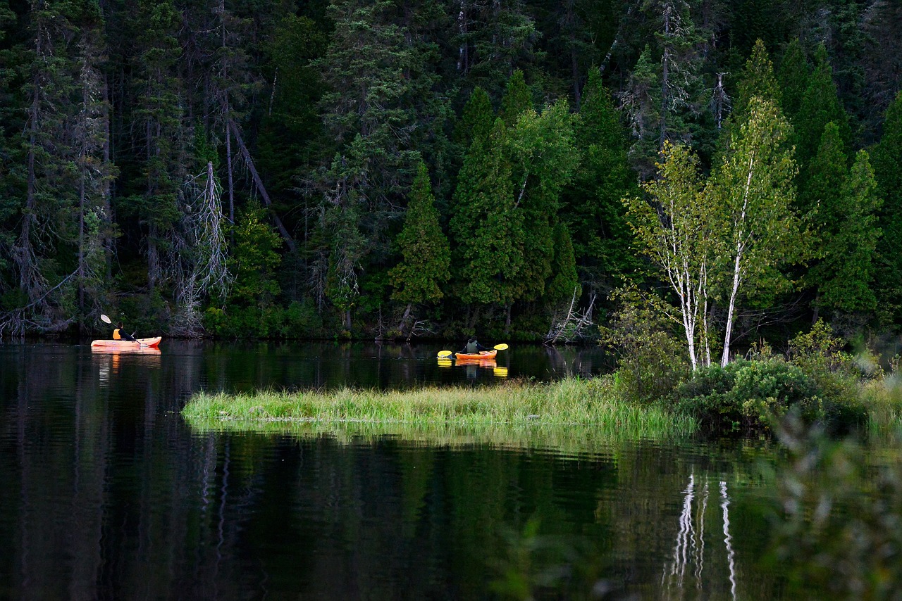 The Relationship Between Biodiversity and Human Health